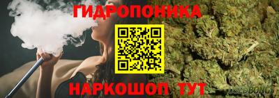 дмт Заволжье