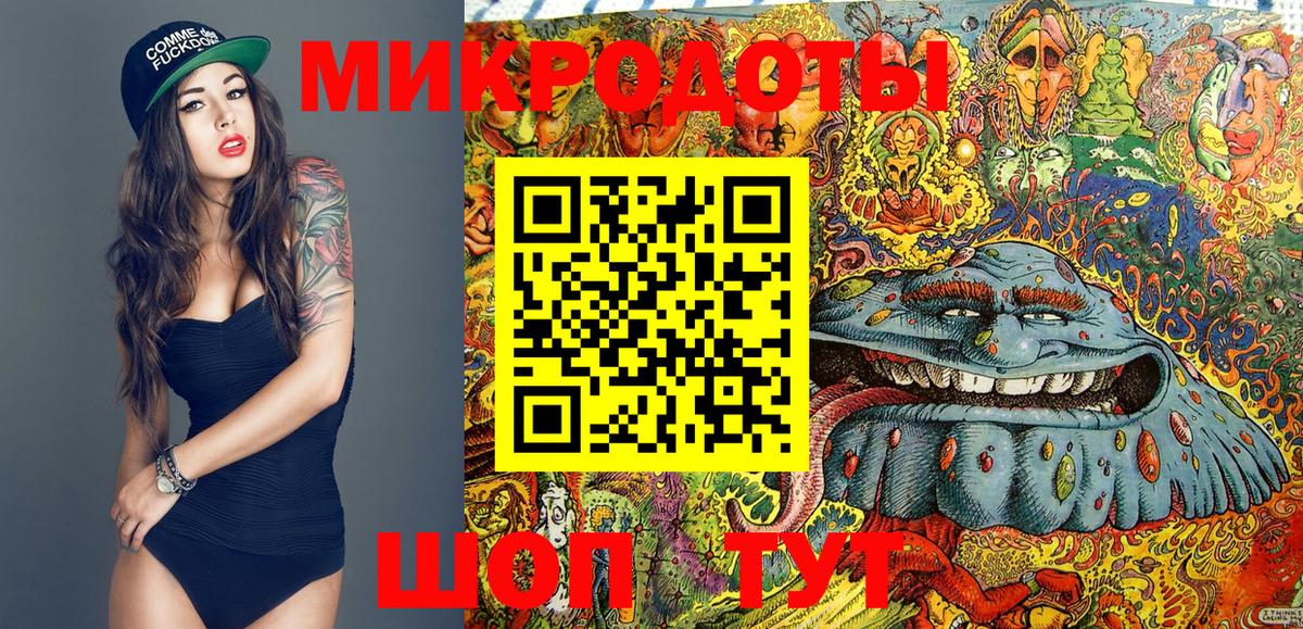 Псилоцибиновые грибы GOLDEN TEACHER  Вход с VPN  Дальнегорск 